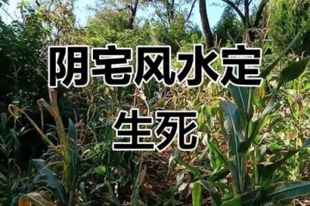 阴宅好风水基本条件