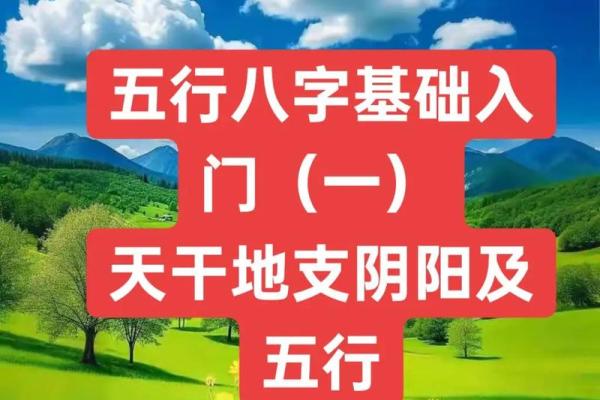阴阳五行是八字命理的基础