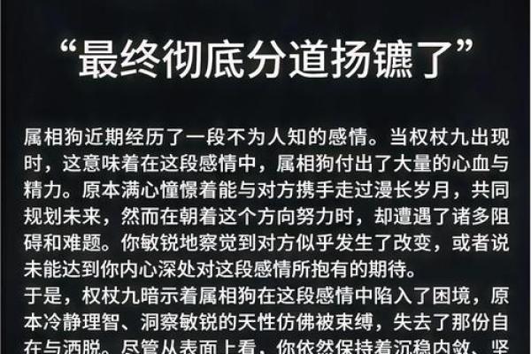 算命的说狗和猪好不好