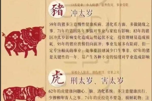 算命的说狗和猪好不好