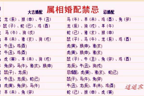 属兔的最佳生肖配对