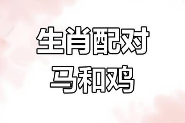 鸡跟什么生肖配对最好 生肖鸡最佳配对