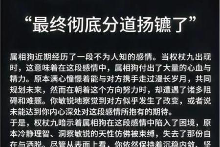 算命的说狗和猪好不好
