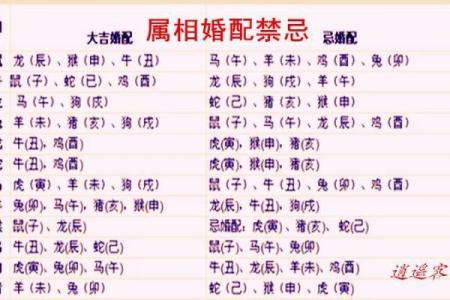 属兔的最佳生肖配对