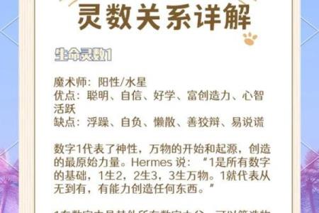 生命灵数配对怎么安排