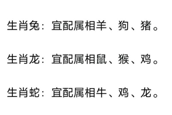 属龙的生肖配对