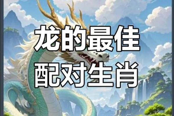 属龙的生肖配对