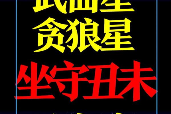 破镜重圆紫薇斗数