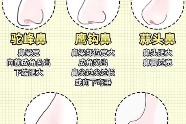 俗语说：“男怕八字眉，女怕弯鼻配”，是啥意思？有依据吗