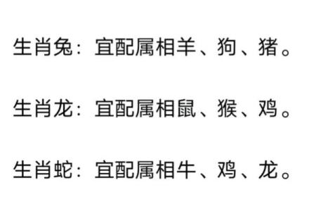 属龙的生肖配对