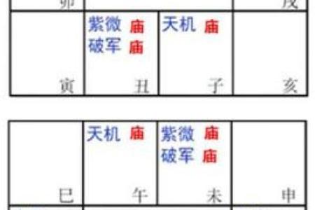 紫微斗数之兄弟宫与诸星,太阳星在兄弟宫是什么意思？