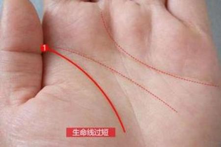 风水生命线分叉代表什么好不好