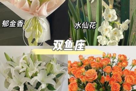 十二星座最合适的花