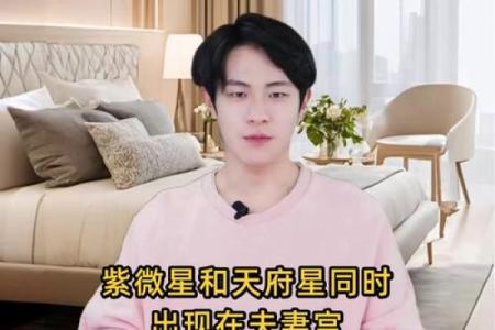 紫微斗数之夫妻宫与诸星，天府星在夫妻宫是什么意思？