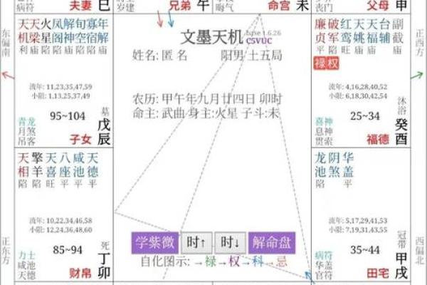 紫薇斗数武曲化科坐命辰宫