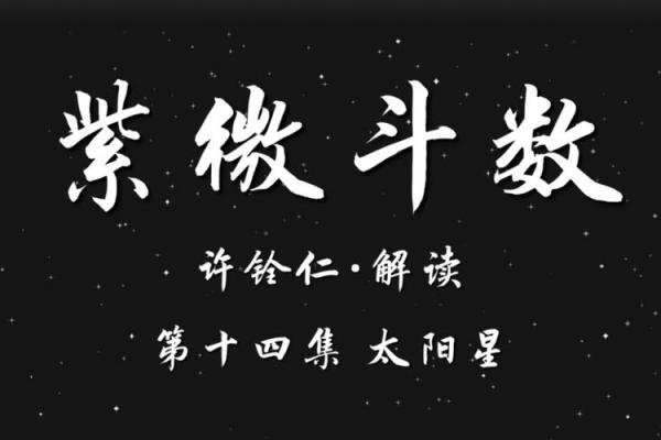 紫薇斗数ai