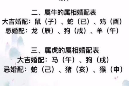 96年鼠男配什么生肖 96年鼠男与什么属相最不配对