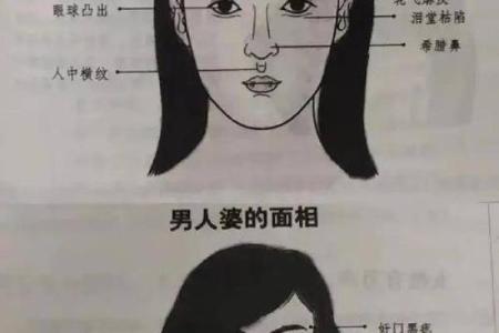 五官看面相算命图解女眼睛 眼睛看相算命图解