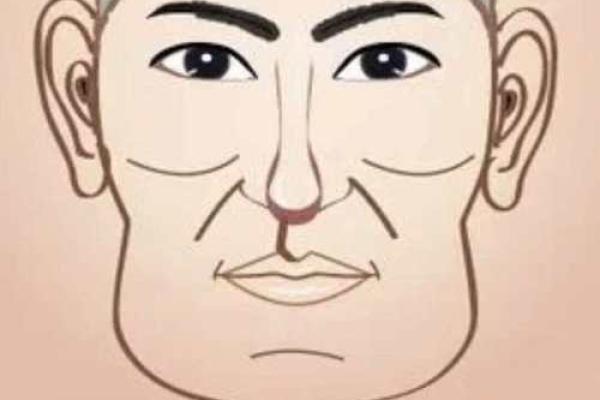 面相图解-弓丧眉算命及性格特征