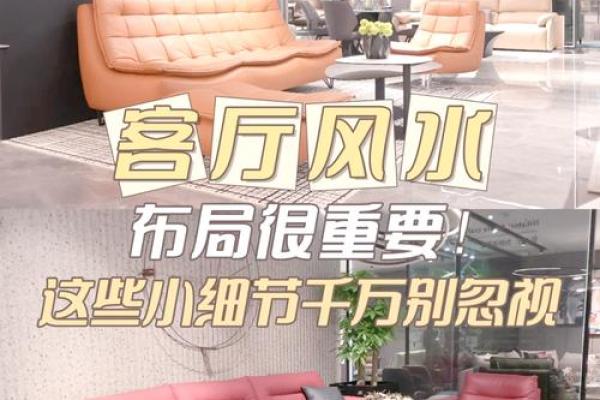 受异性欢迎的居家客厅风水布局