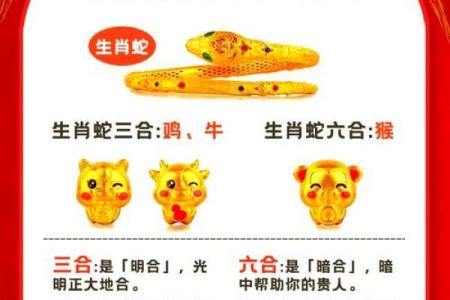 属马和属蛇的人相配吗 属马和属蛇你们配对关系如何