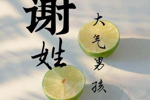 谢姓女孩名字大全-谢姓女孩起名字大全-谢姓名字大全姓名