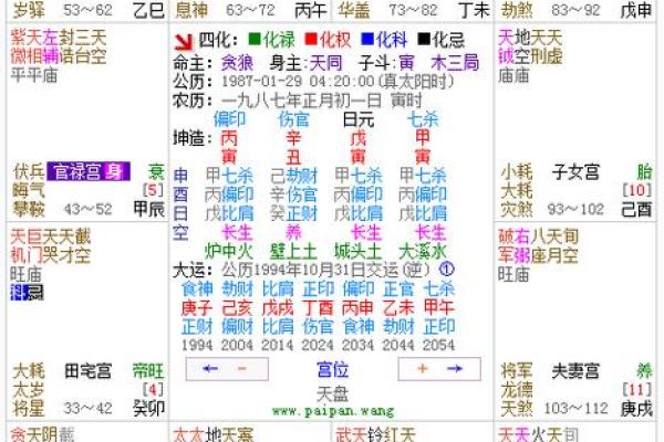 紫薇斗数限运