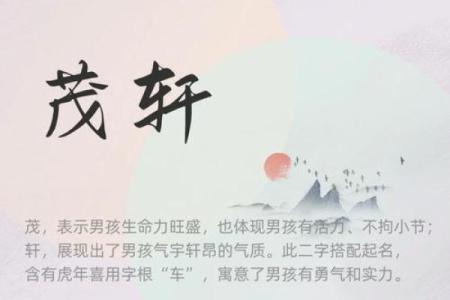 晚上出生的属虎男孩应该如何起名，宜用什么字姓名