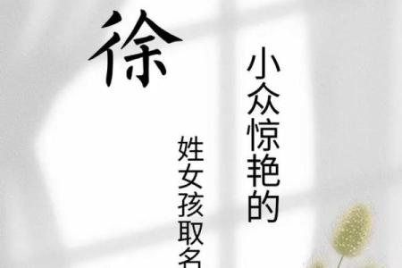徐姓女孩名字大全-徐姓女孩起名字大全-徐姓名字大全姓名