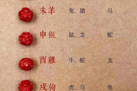 龙跟什么生肖配对最好 生肖龙最佳配对