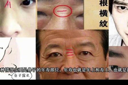 面相解析：从山根看相算命