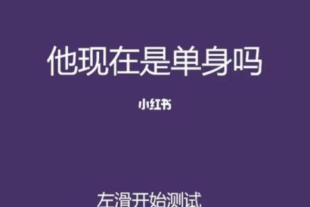 塔罗牌测试：下半年你还会单身吗？
