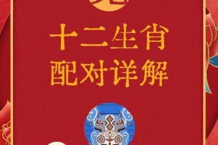 周易中属什么生肖？解析周易生肖配对