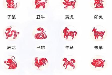 属猴的男孩出生吉日 属猴是哪一年出生的
