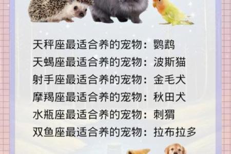 十二星座最适合养的宠物双子座