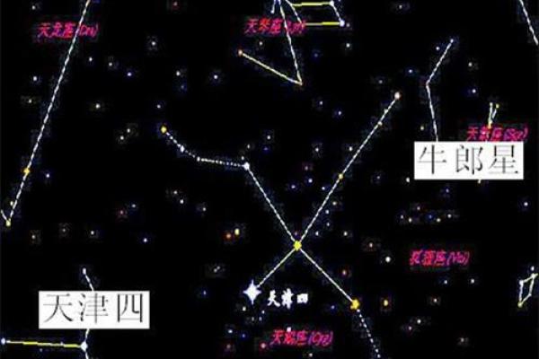 天府星在星座中的位置