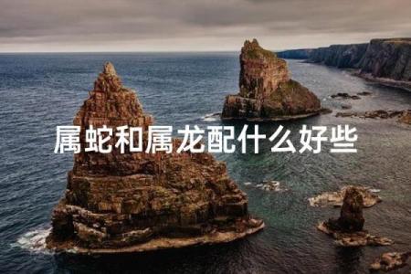蛇跟什么生肖配对最好 生肖蛇最佳配对