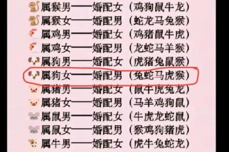 女牛男兔生肖配对姻缘 女牛男兔相配婚姻会怎么样？