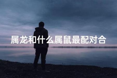 属鼠和属龙配对合适吗-