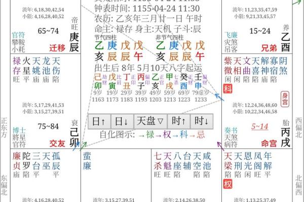 紫薇斗数象意
