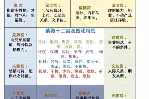 紫薇斗数象意