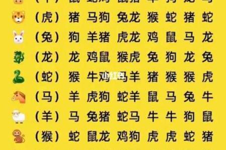 属鸡和什么属相最配对 属鸡和什么属相相冲