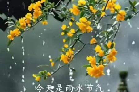 梦见下雨的吉凶财方位