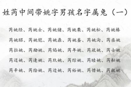辛时出生的属兔男孩怎么取名字姓名