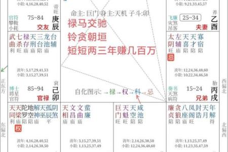 三合派紫微斗数 三合派紫微斗数讲义？