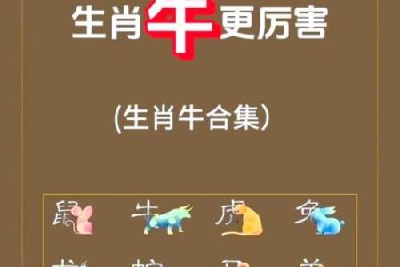 牛跟什么生肖配对最好 生肖牛最佳配对