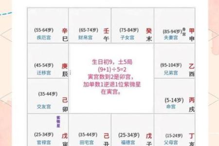 紫微斗数排盘天魁星坐命宫分析,十二宫分析