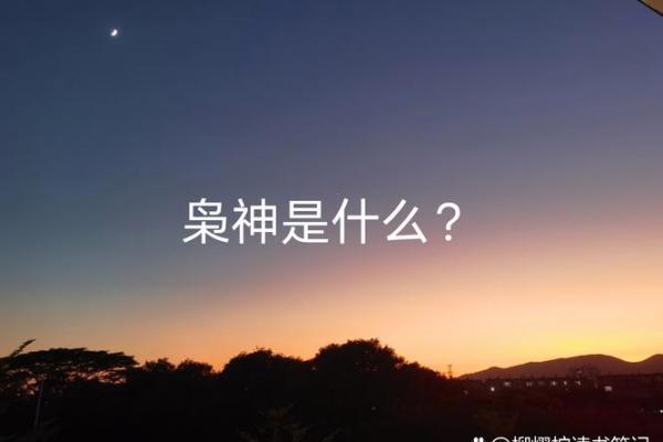 八字枭神夺食