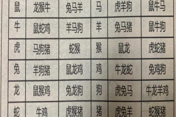 属相配对表