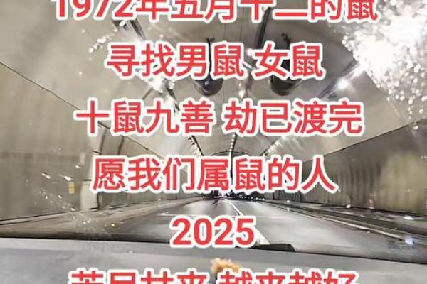 72年属什么生肖配对